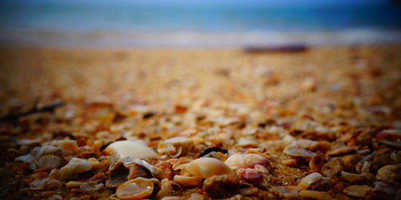 世纪盛年TV应用全解析：解锁影视娱乐与视频平台的极致体验