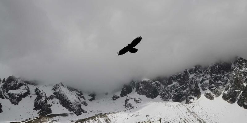 会员经济深度研究：世纪盛年TV的订阅制如何持续吸引并留住用户