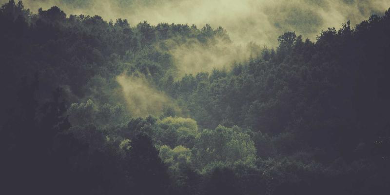 影视衍生品开发新路径:深度解析世纪盛年TV“内容+电商”的跨界商业模式