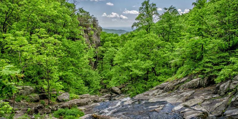 无障碍观影新纪元：深度解析世纪盛年TV为视障与听障人群打造的音频描述与智能字幕技术